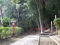 日記の画像