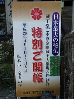 日記の画像