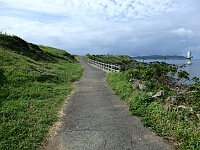 日記の画像