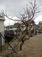 日記の画像