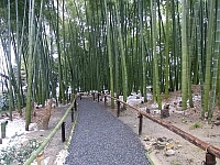 日記の画像