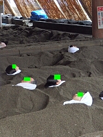 日記の画像
