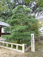 日記の画像