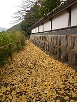 日記の画像