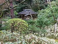日記の画像