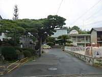 日記の画像