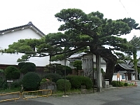 日記の画像