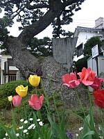 日記の画像
