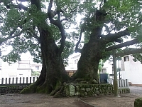 日記の画像
