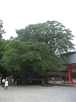 日記の画像