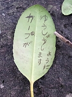 日記の画像
