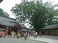 日記の画像