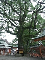 日記の画像