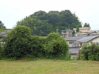 日記の画像