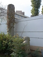 日記の画像