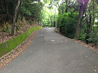 日記の画像