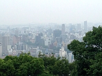 日記の画像