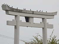 日記の画像