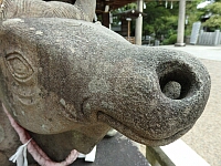 日記の画像