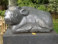 日記の画像