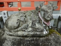 日記の画像