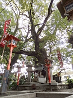 日記の画像