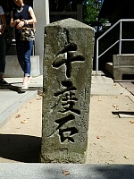 日記の画像