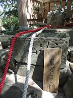 日記の画像