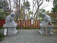 日記の画像