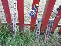 日記の画像