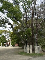 日記の画像