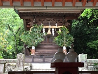 日記の画像