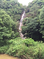 日記の画像