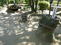 日記の画像