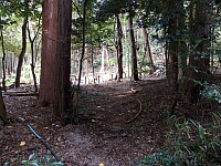 日記の画像