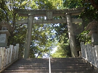日記の画像