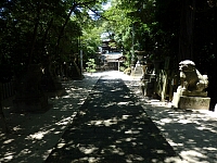 日記の画像