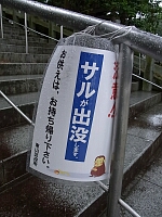 日記の画像