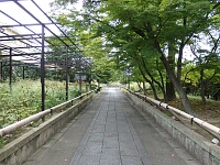 日記の画像