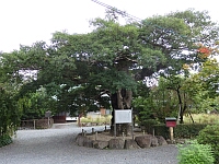 日記の画像