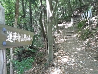 日記の画像