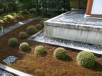日記の画像