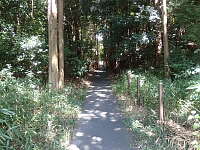 日記の画像