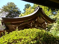 日記の画像