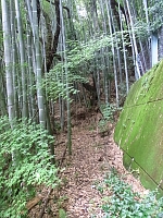 日記の画像