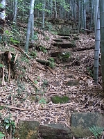 日記の画像