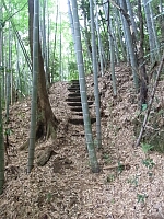 日記の画像
