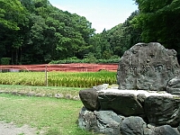日記の画像