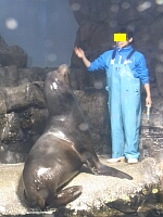 日記の画像