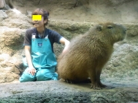 日記の画像